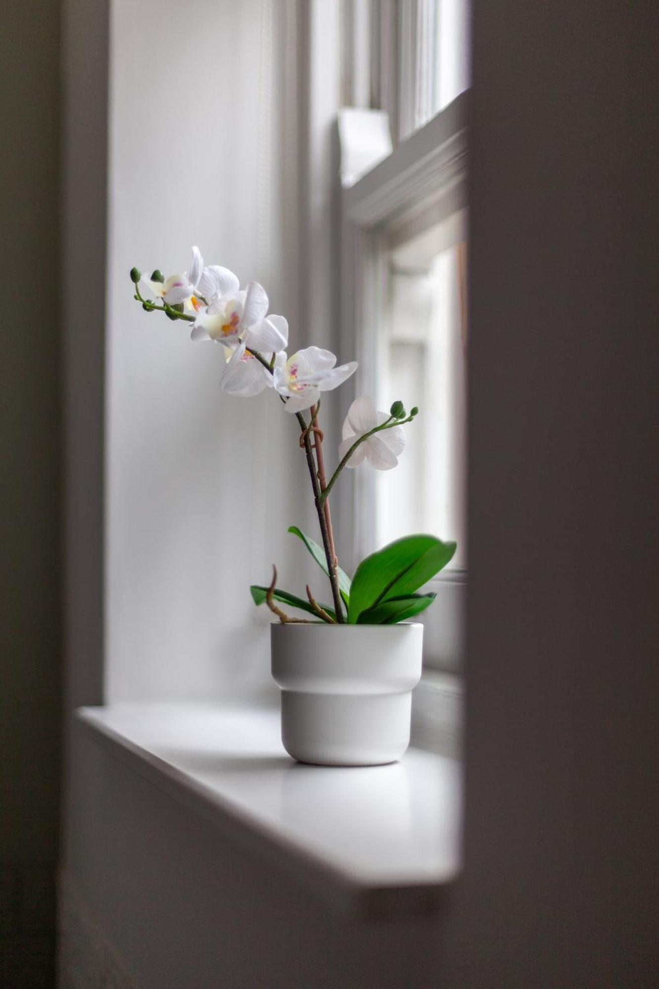 The Hackney Luxury Flat Leilighet London Eksteriør bilde